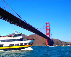 San Francisco Bay Cruise - 1 Hour