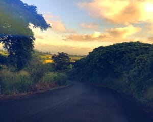 Beginners Guided Hike Oahu - 2 Hours