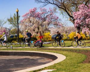 Bike Tour Washington DC, Monuments & Memorials - 3 Hours