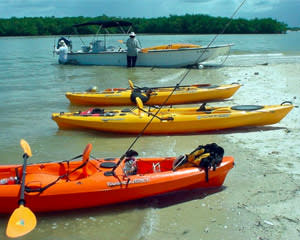 Boat Assisted Kayak Eco Tour - Florida Everglades