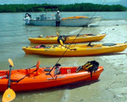 Boat Assisted Kayak Eco Tour - Florida Everglades