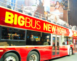 Bus Tour New York City, Downtown and Uptown - Day Pass