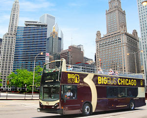 Bus Tour Chicago, the Big Loop - Day Pass