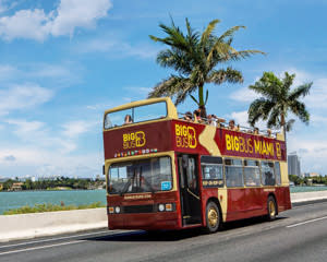 Open-top Bus Tour Miami - Day Pass