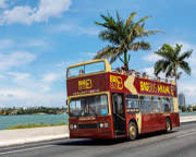 Open-top Bus Tour Miami - Day Pass