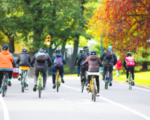 Central Park Bike Tour, NYC - 2 Hours