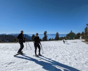 Chickadee Ridge Snowshoe Tour, Lake Tahoe - 2 Hours 30 Minutes