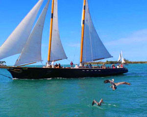 Key West Classic Day Sail - 1.5 Hours