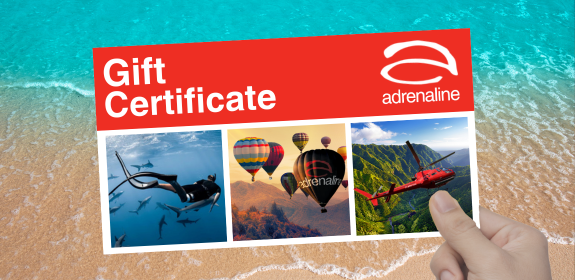 Adrenaline Gift Certificates