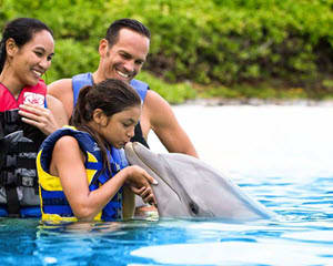 Dolphin Encounter Hawaii with Admission to Sea Life Park - 30 Minute Swim