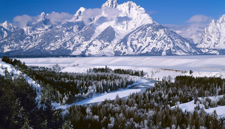 Jackson Hole Winter Wildlife Sunset Safari Landscape