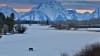 Jackson Hole Winter Wildlife Sunset Safari