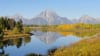 Jackson Hole Summer & Fall Wildlife Sunset Safari Landscape