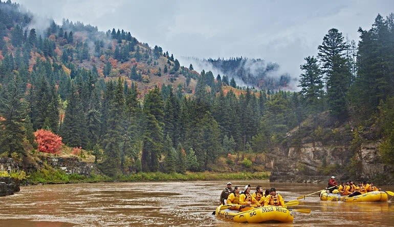 Scenic Float Jackson Hole Snake River Group