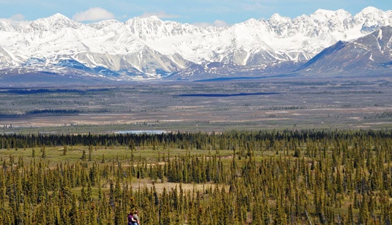 Jeep Tour Denali Mountains