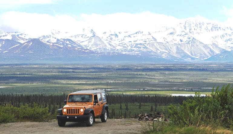 Jeep Tour Denali Snowy Mountains