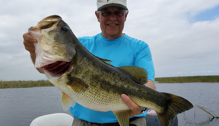 Fishing Tour Everglades Largemouth Bass