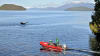 Zodiac Boat Scenic Tour Ketchikan Whale