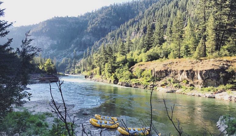 Whitewater Rafting Jackson Hole River