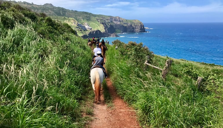 Horseback Riding Maui  Trail