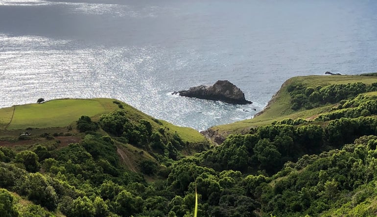 Horseback Riding Maui Views