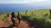 Horseback Riding Maui Sea Views