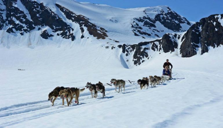 Dog Sled Ride Alaska Helicopter Flight Anchorage dog sledding