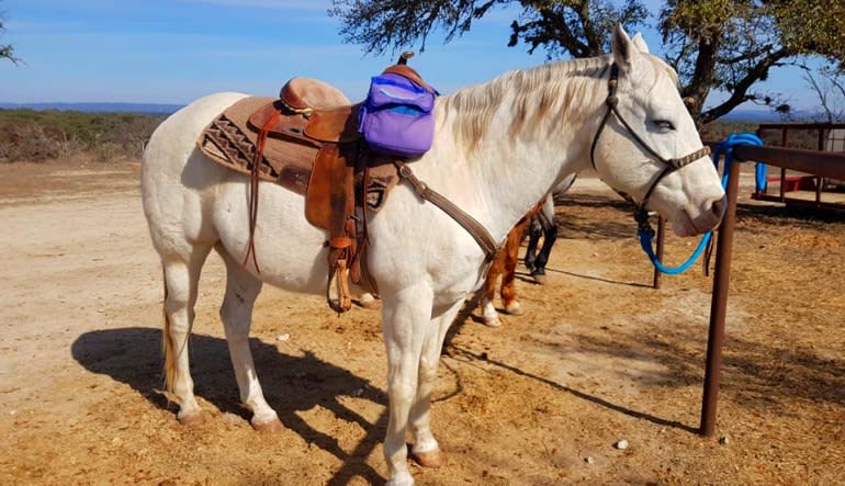 Horseback Riding San Antonio, Texas Hill Country Saddled Up