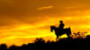 Wild West Horseback Riding Las Vegas Shadow