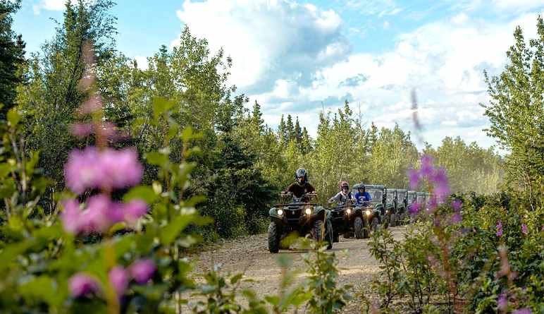 Two Rider ATV Guided Tour Denali, Trailblazer Adventure - 3 Hours 30 Mins (Denali Shuttle Available!)