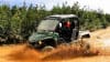 ATV Guided Tour Denali, Wilderness Adventure - 90 Mins (Denali Shuttle Available!)