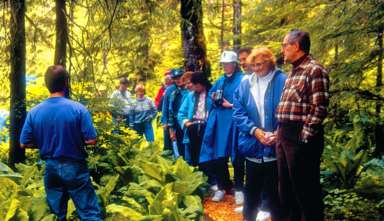 Ketchikan Rainforest Island Adventure - 4 Hours