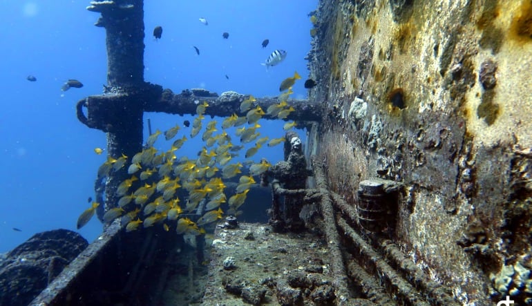 Scuba Diving Oahu - 3.5 Hours (Wreck and Reef Dive!)