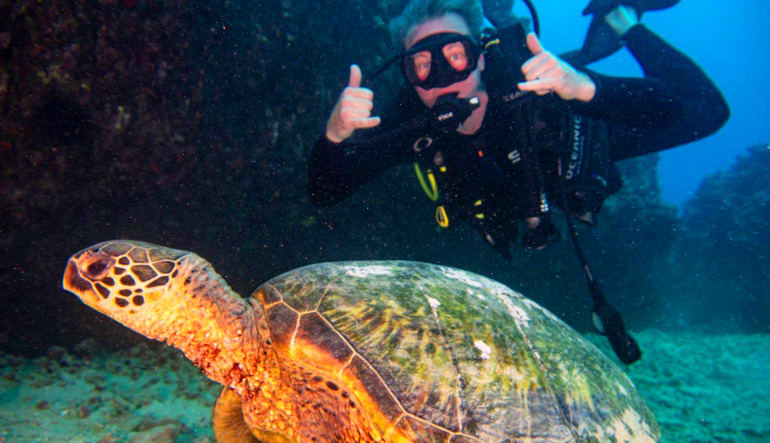 Oahu Shallow Reef Dives - 4 Hours Turtle