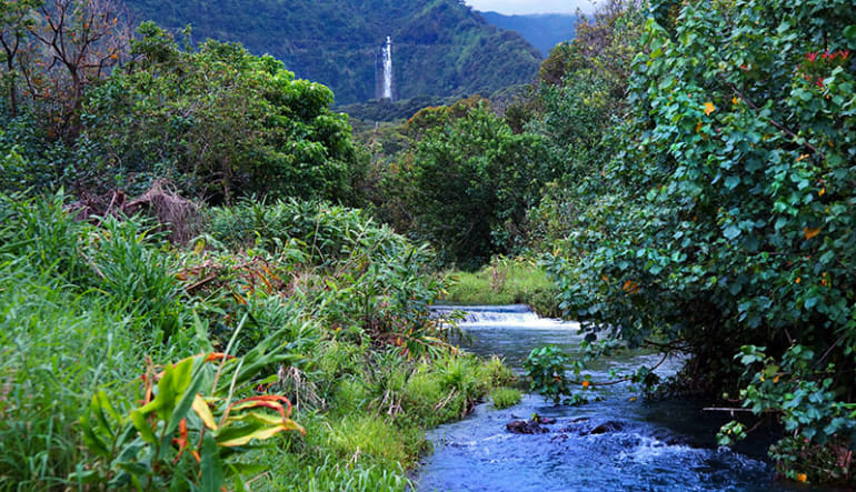 Helicopter Tour Maui, Hana Rainforest Flight hawaii helicopter ride waterfalls