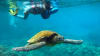 Sea Scooter Snorkeling Tour Maui - 2 Hours