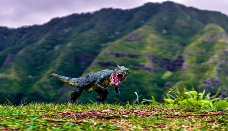 Oahu Movie Sites Tour, Kualoa Ranch - 90 Minutes