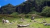 Oahu Movie Sites Tour, Kualoa Ranch - 90 Minutes