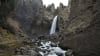 Jackson Hole Full Day Safari Waterfall