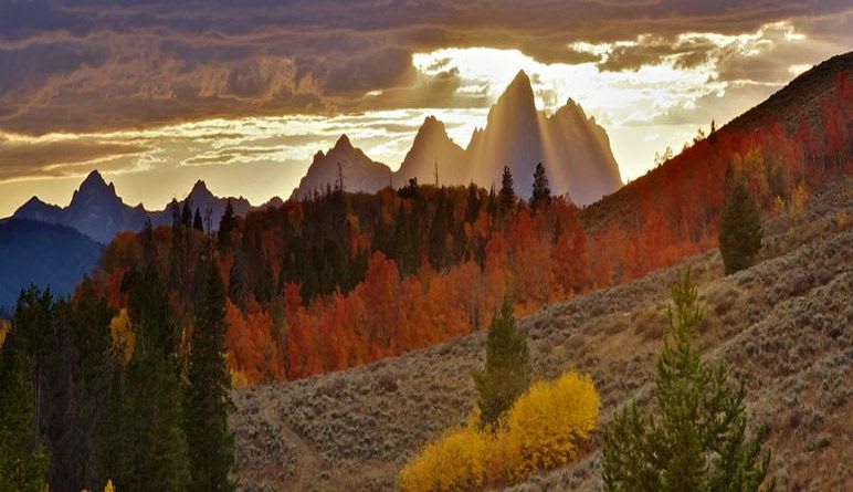 Jackson Hole Summer & Fall Wildlife Sunset Safari