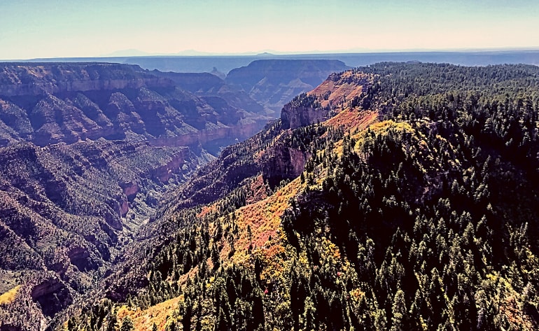 Grand Canyon South Rim Plane Tour - 50 Minutes