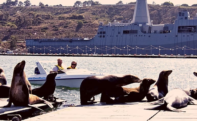 Speed Boat Tour San Diego, Double Passenger - 2 Hours