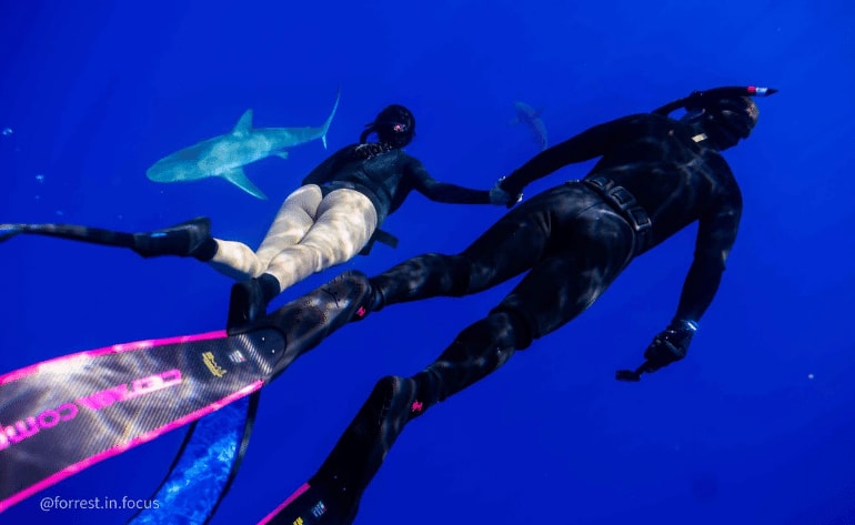 Shark free Dive Oahu Hawaii North Shore shark swimming