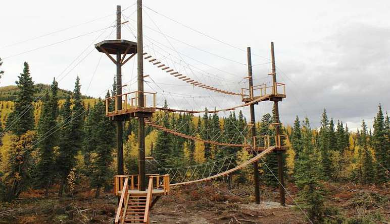 Ziplining Denali, 7 Zip Adventure - 3 Hours (Denali Shuttle Available!)