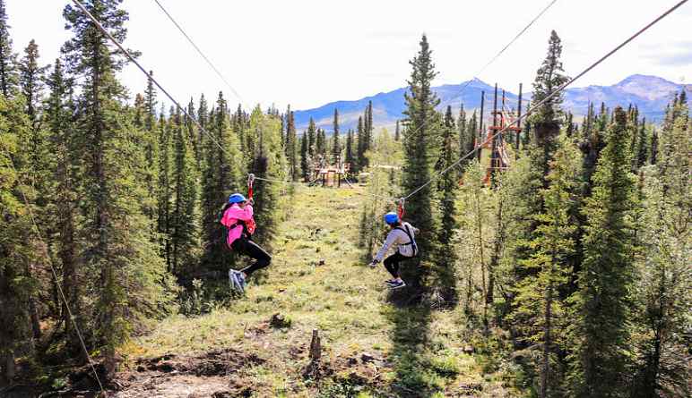 Ziplining Denali, 7 Zip Adventure - 3 Hours (Denali Shuttle Available!)