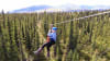 Ziplining Denali, 7 Zip Adventure - 3 Hours (Denali Shuttle Available!)