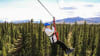 Ziplining Denali, 7 Zip Adventure - 3 Hours (Denali Shuttle Available!)