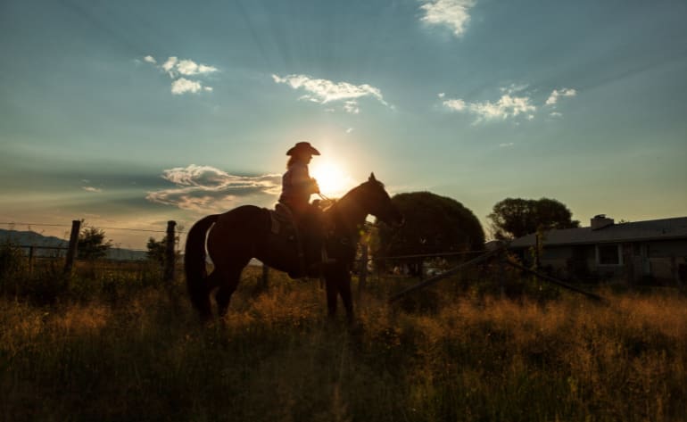 Private Horseback Riding San Antonio, Texas Hill Country - 2 Hours