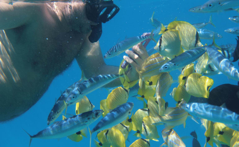 Sail and Snorkel Morning Tour, Oahu - 3 Hours