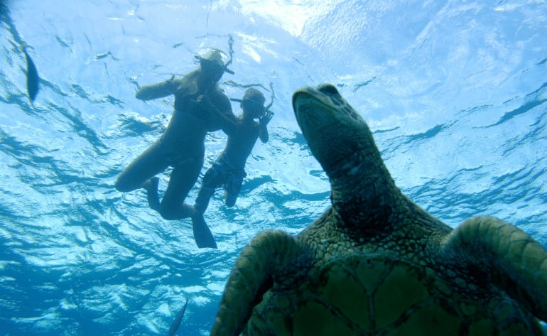 Sail and Snorkel Morning Tour, Oahu - 3 Hours